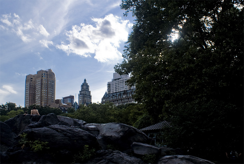 rocks, buildings and the tree