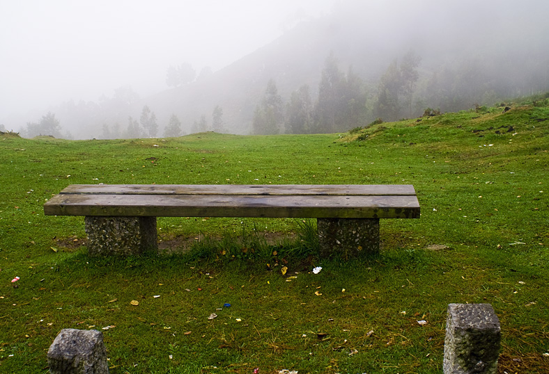 el banco y la niebla