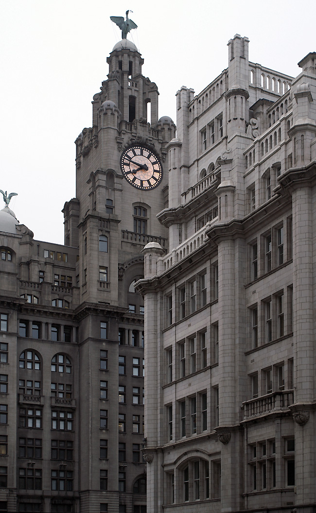 liver building