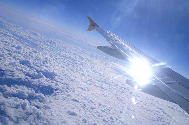 volando alto hacia el norte