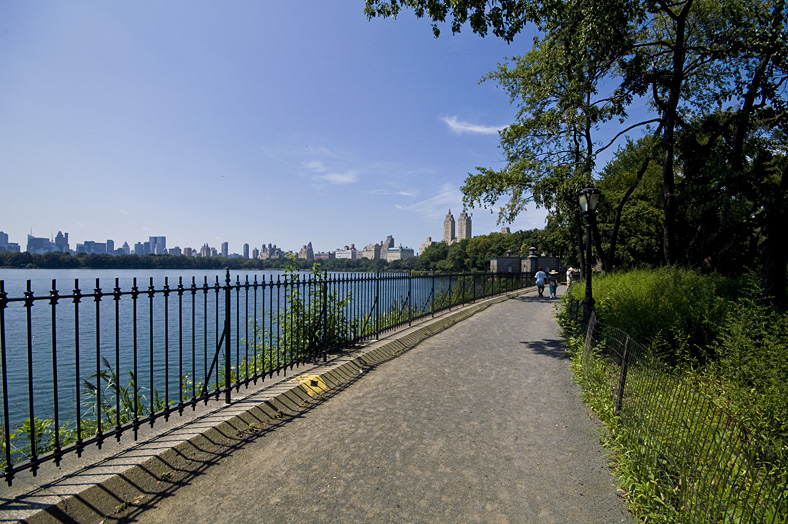 un paseo por central park