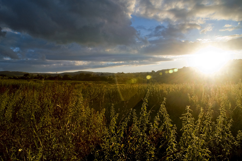 winchcombe sunset