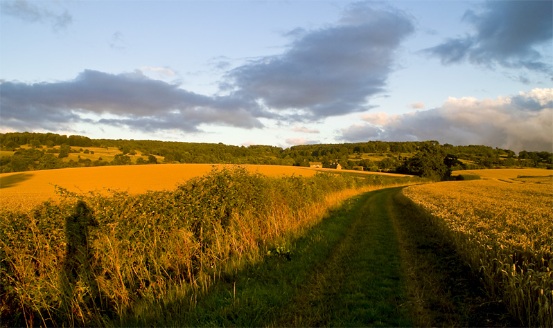 the green way