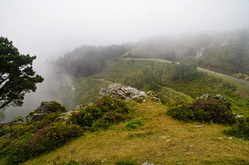 niebla en la montaña